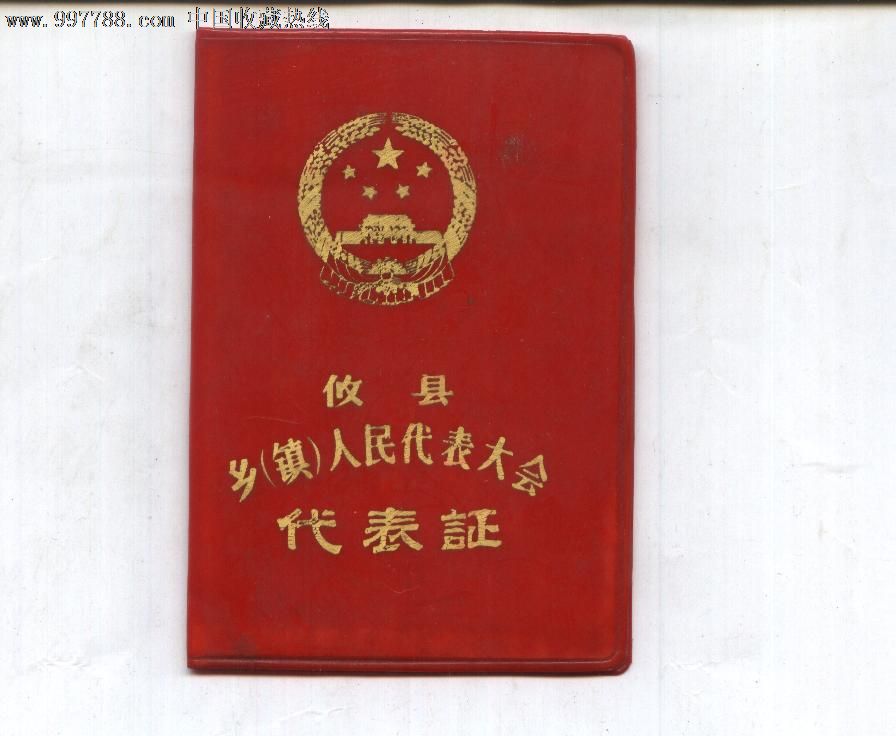攸县乡镇人民代表大会-代表证