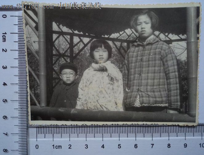 兄弟姐妹合影老照片.