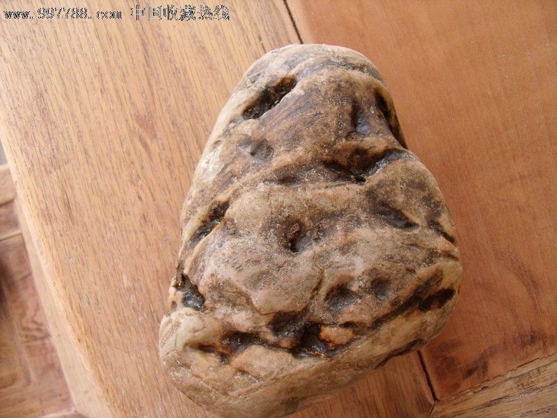 猪八戒背媳妇