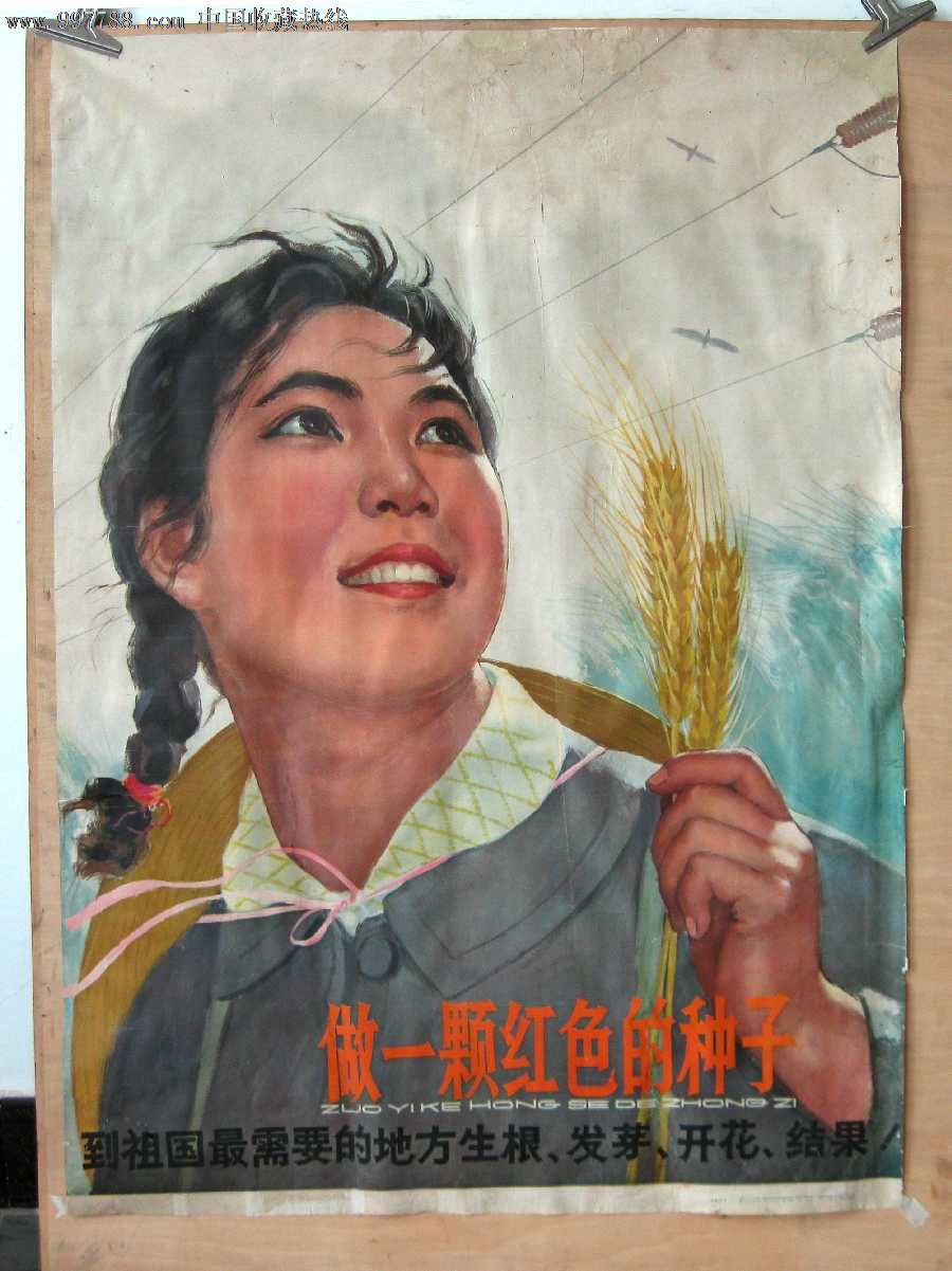 做一棵红色种子(60年代知青美女题材)