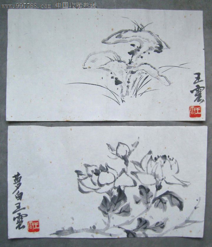 名人老字画:(近代花鸟画大师)王梦白《手绘花鸟小品画画稿8幅》老画片