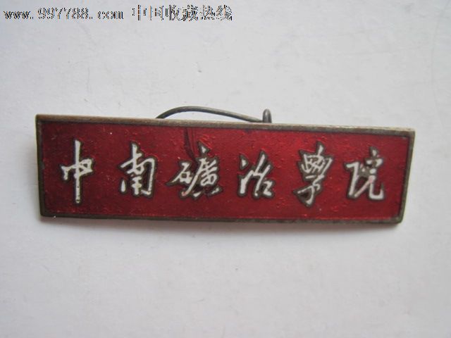 中南政法财经大学武汉学院_中南矿冶学院_中南科技大学附近的学院