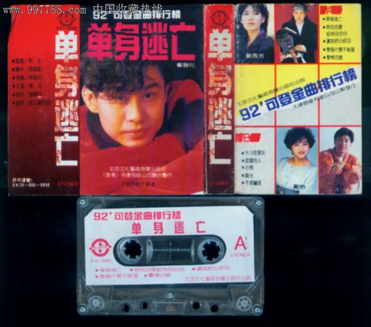 单身逃亡