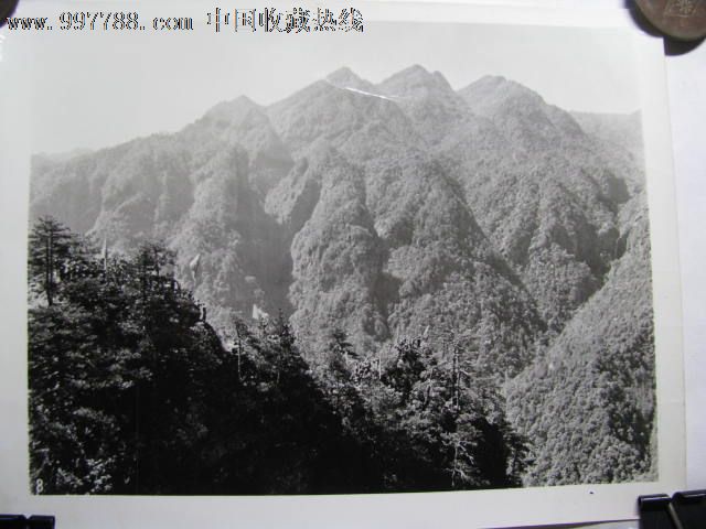 老照片/革命圣他---井冈山