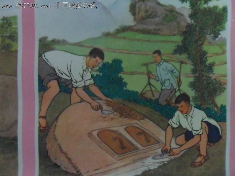 农村说的因为鸟儿的粪便使树木上长出的寄生植物叫什么?(在板栗树,