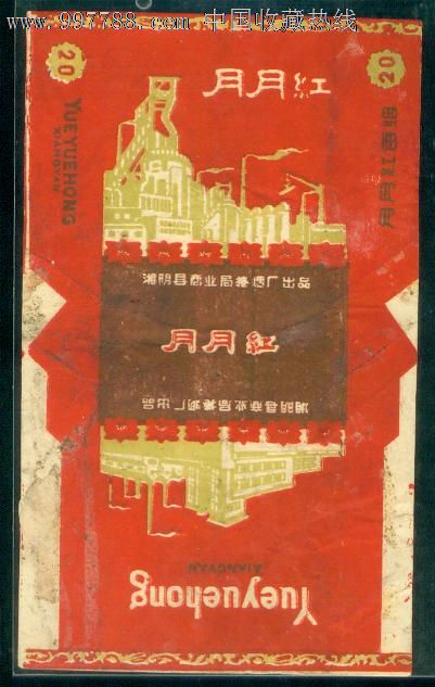 月月红