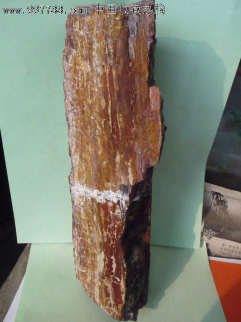 132 品种 硅化木/木化石-硅化木/木化石 属性 蛋白石木化石,新疆