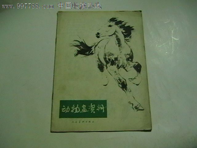 动物画资料(77年一版一印,刘继卣的各种马的绘画技法)