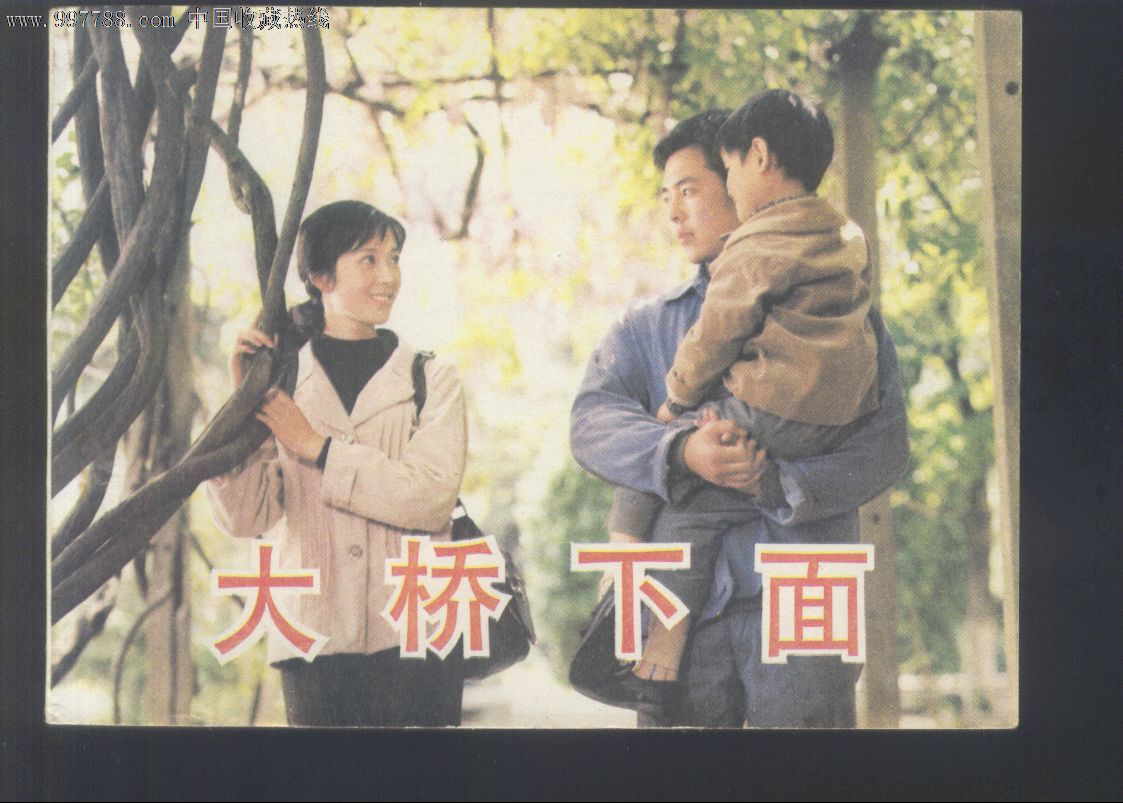 大桥下面【龚雪主演.18*页,书厚】