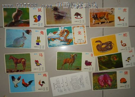 趣味十二生肖画片(全套12张少见)