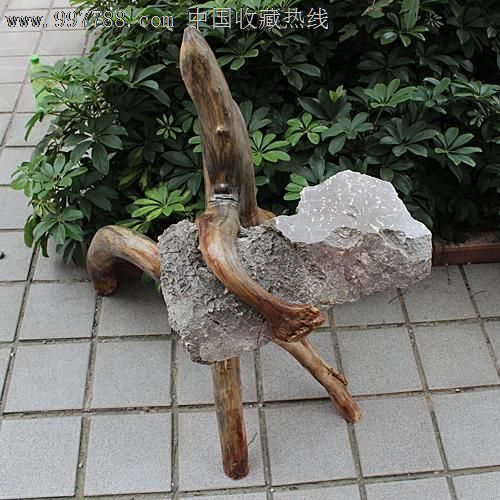 送礼佳品/天然根雕奇石/木雕摆件/秤杆木根抱石/花架花台yw166