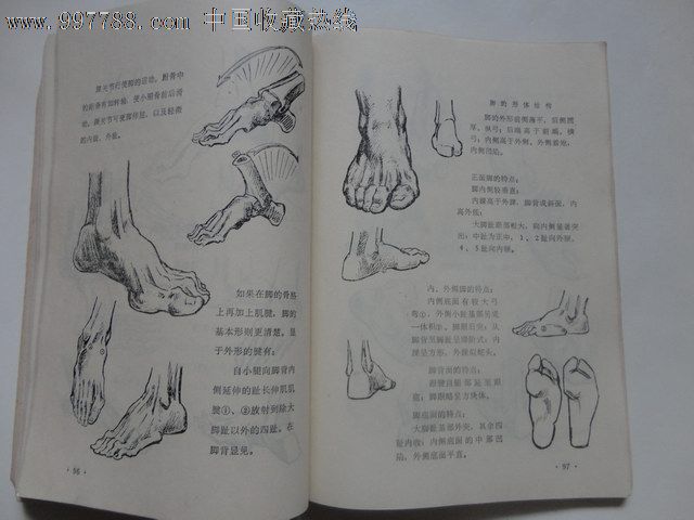 艺用人体结构(25开)多图_价格8.0000元_第4张_7788收藏 ...