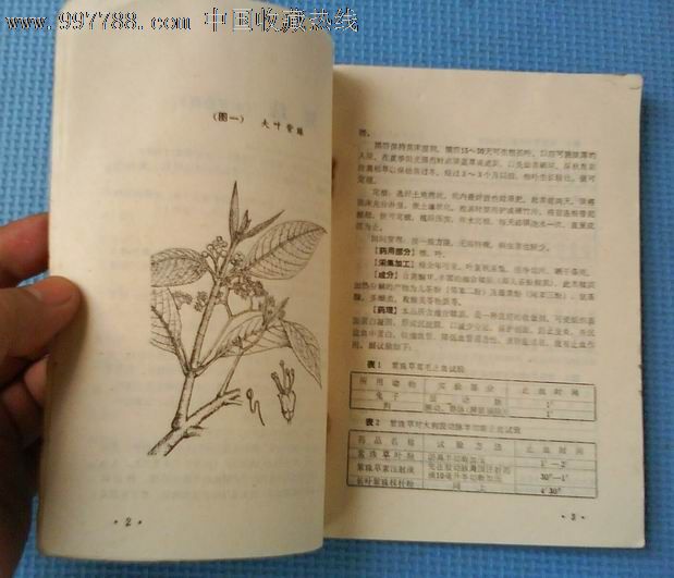 中草药资料汇编 处方选pdf下载