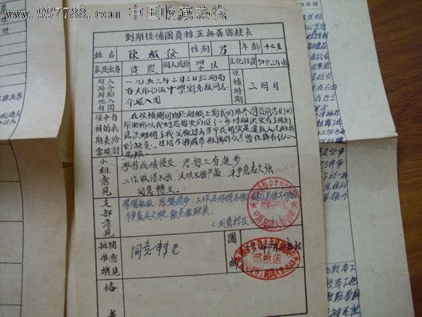 入团志愿书1953年