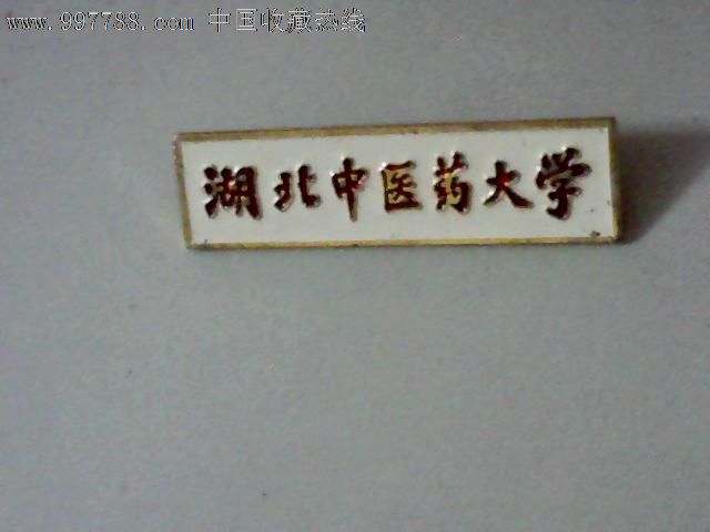 湖北中医药大学