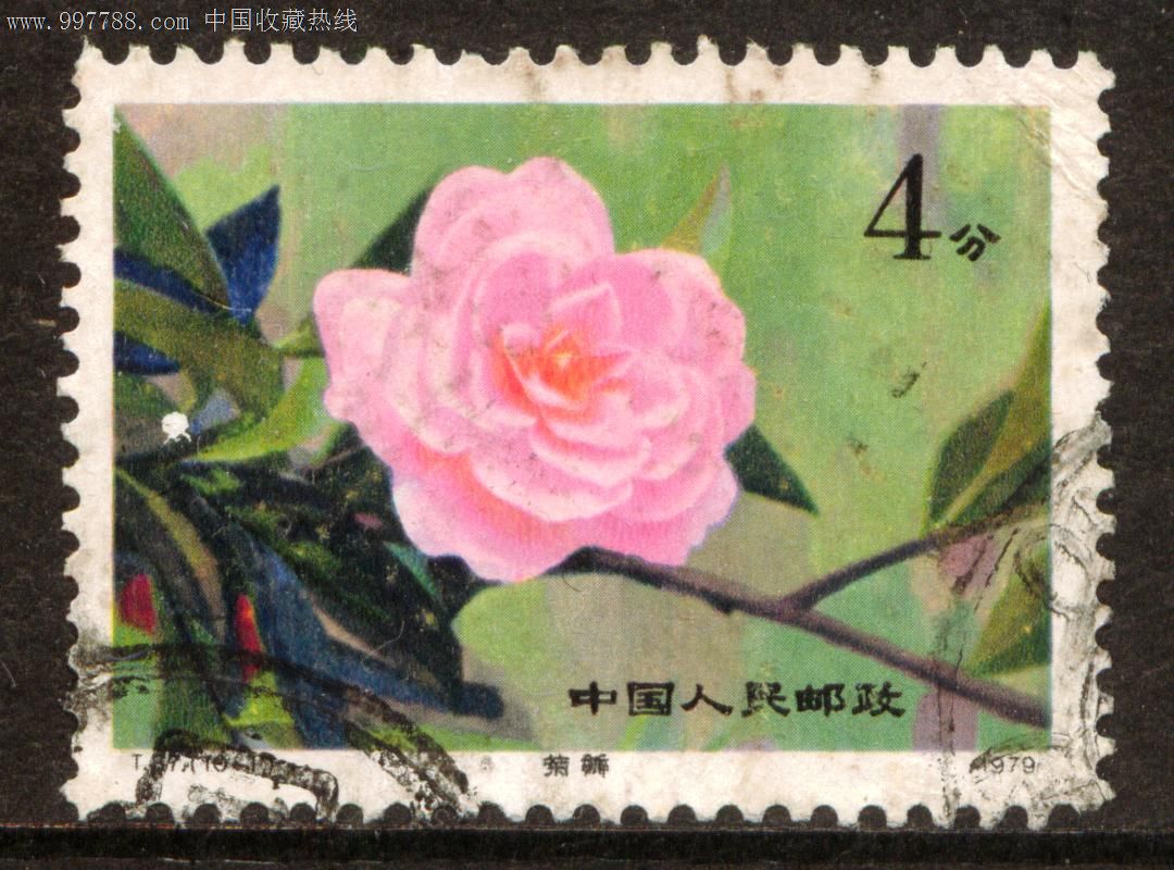 t37云南山茶花10—1信销邮票近上品_第1张_7788收藏__收藏热线
