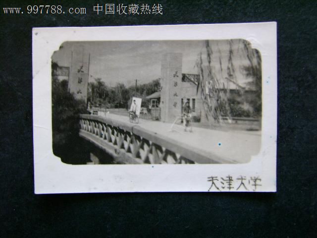 59年天津大学-se13732541-老照片-零售-7788收藏