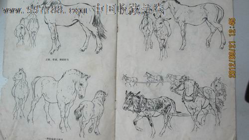1977.9《动物画资料》主要是马的画法(刘继卣作)_绘画期刊_三川旧书报店【7788收藏__中国收藏热线】