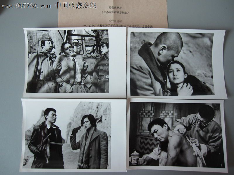 世界奇案的最后线索-主演:梁国庆,朱雷,贾玉岚,申军谊,柳荻