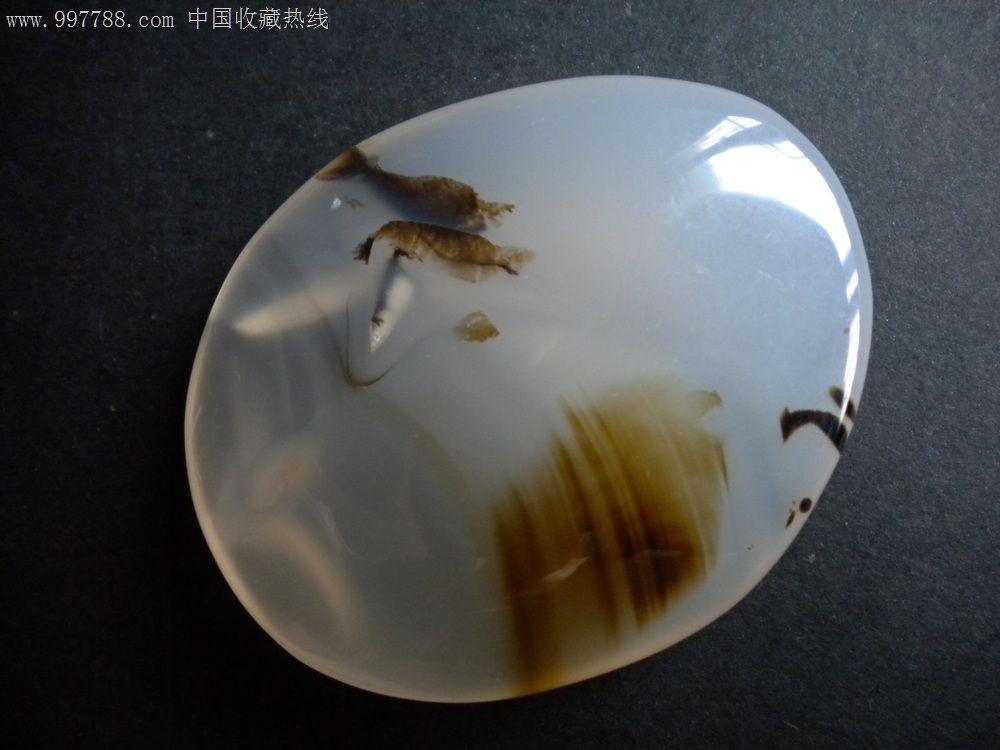 海洋玉髓(水中鱼虾)