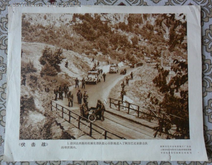 经典电影【伏击战】电影剧照