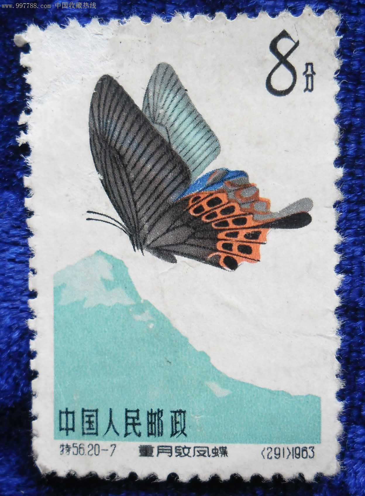 特56蝴蝶(20-7)-se13920938-新中国邮票-零售-7788