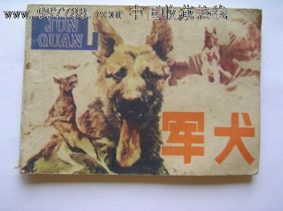 军犬(小量)