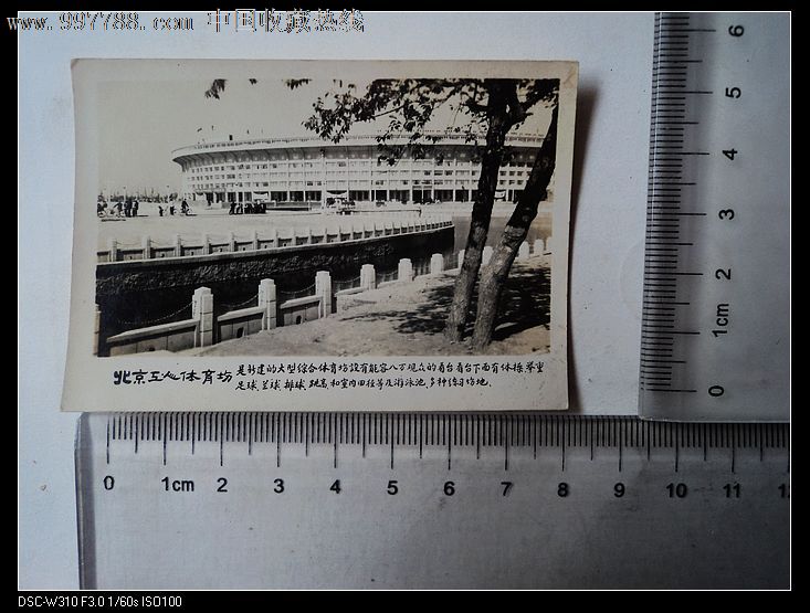 日光岩全景北京工人体育场(老照片)
