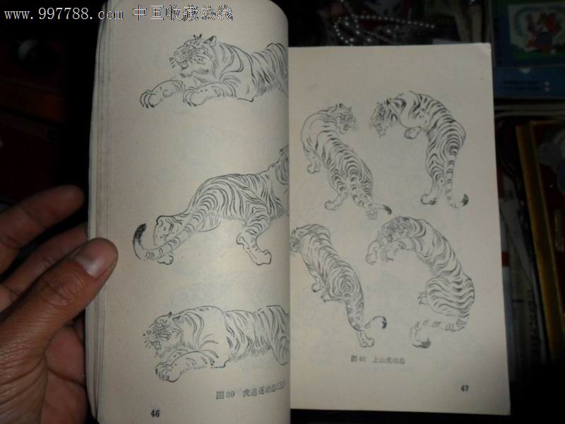 老虎画法_水粉/水彩画册_日升昌【7788收藏__中国收藏
