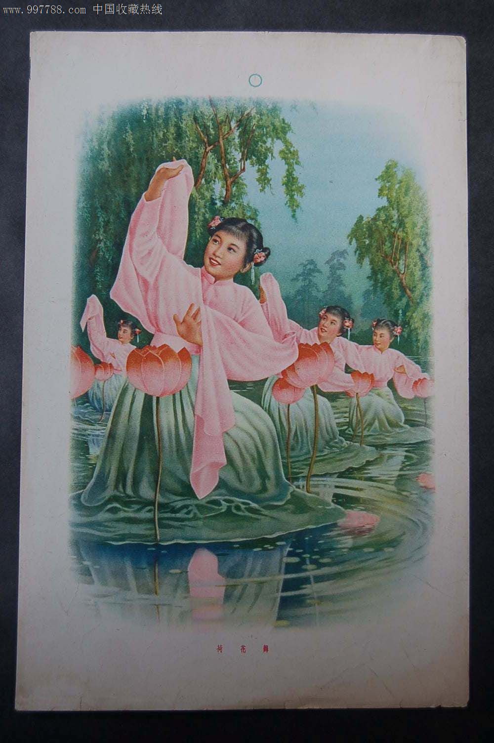 荷花舞