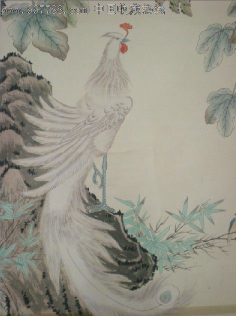 白凤凰