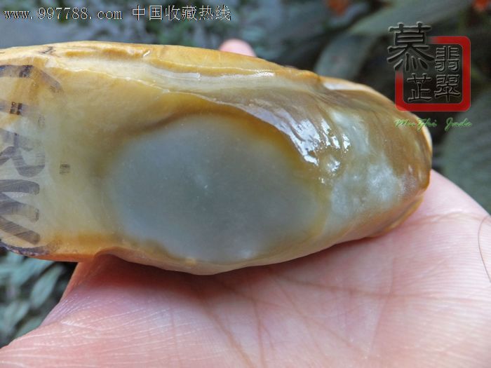 【慕芷翡翠】翡翠赌石原石毛料黄雾白肉胶感肉细蜜糖翡mz121025