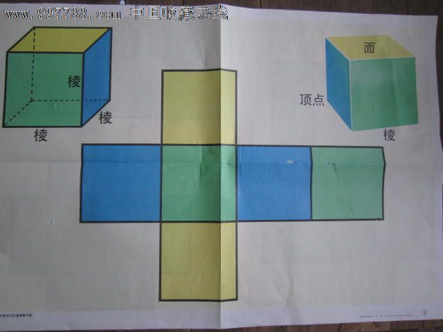 34正方体和它的表面展开图长方形正方体表面展开图的判断