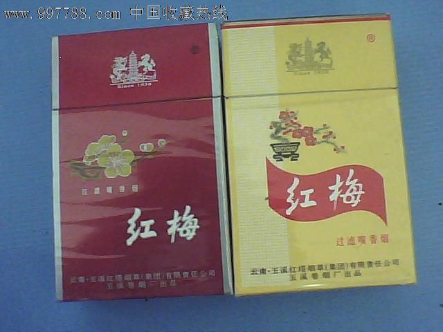红梅—两种