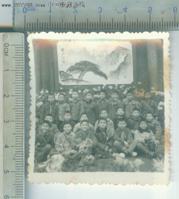 八十年代小学生合影