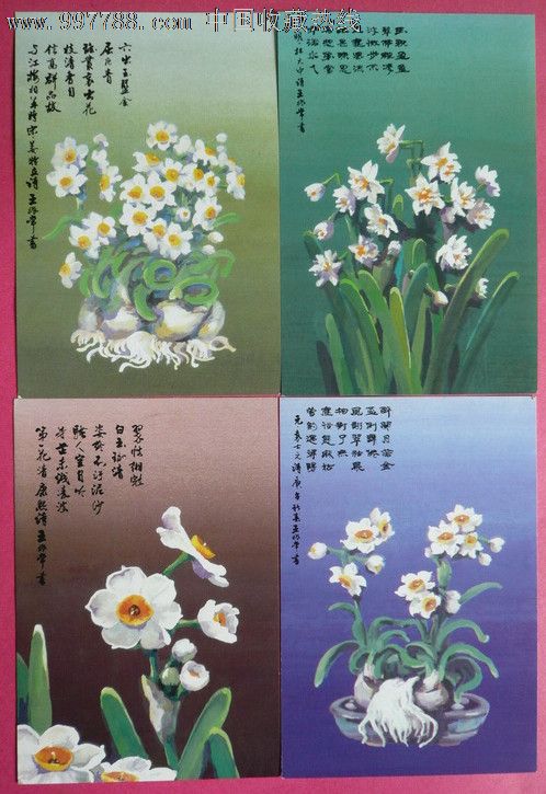 水仙花