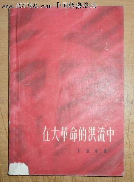 在大革命的洪流中