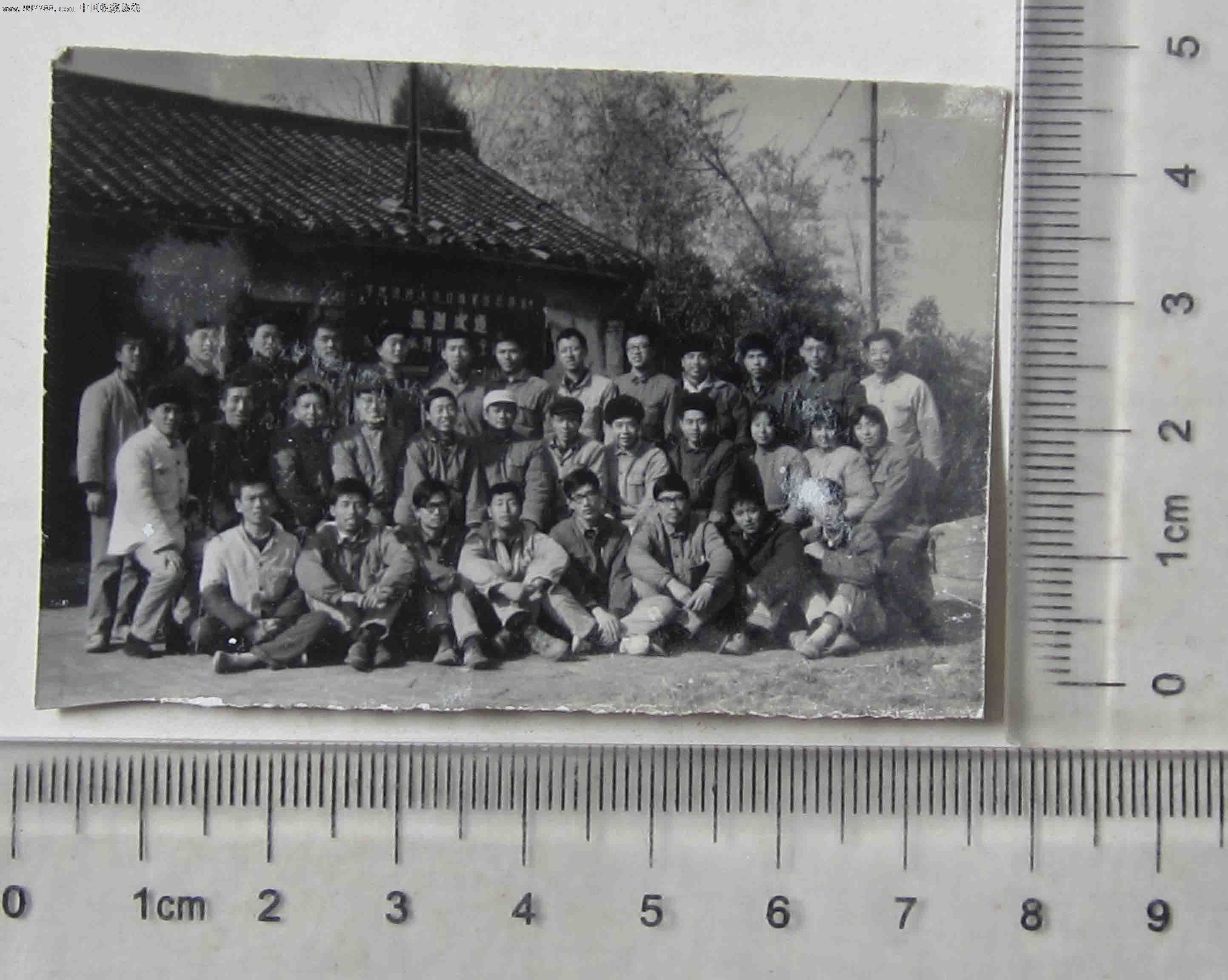 集体大型合影老照片