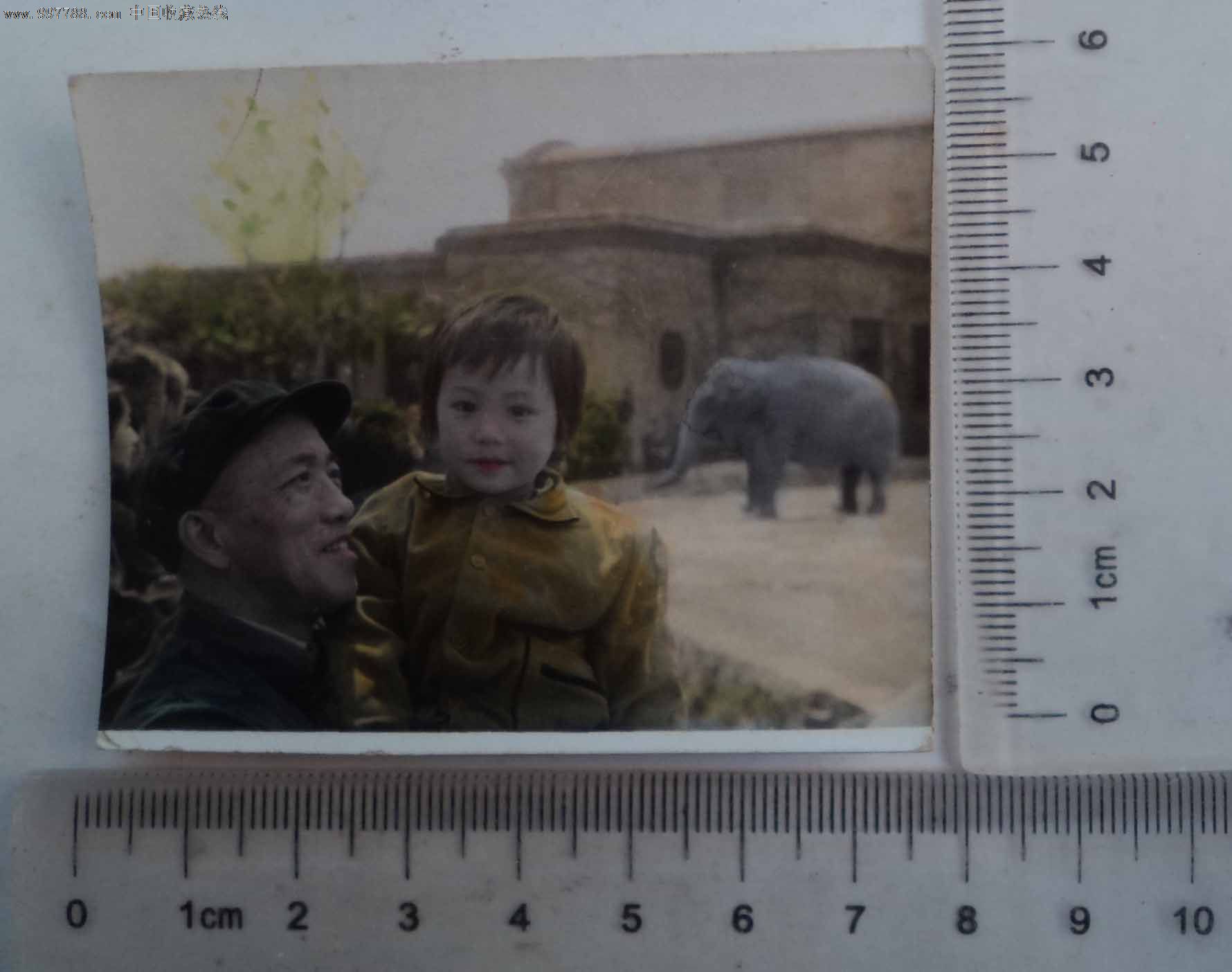 爷孙合影老照片