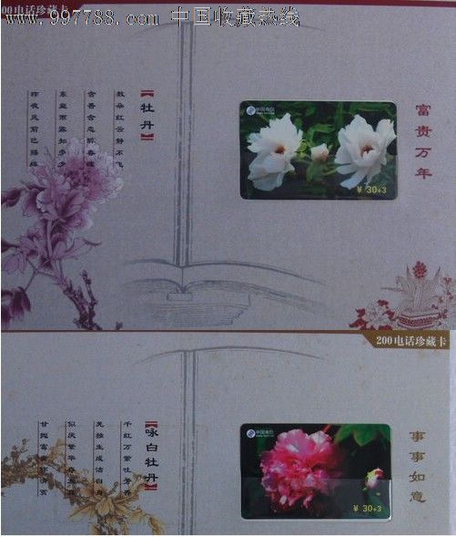 福建200卡-牡丹花