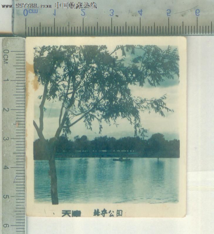 天津北宁公园(手工上彩-价格:5元-se15083335-老照片-零售-中国收藏