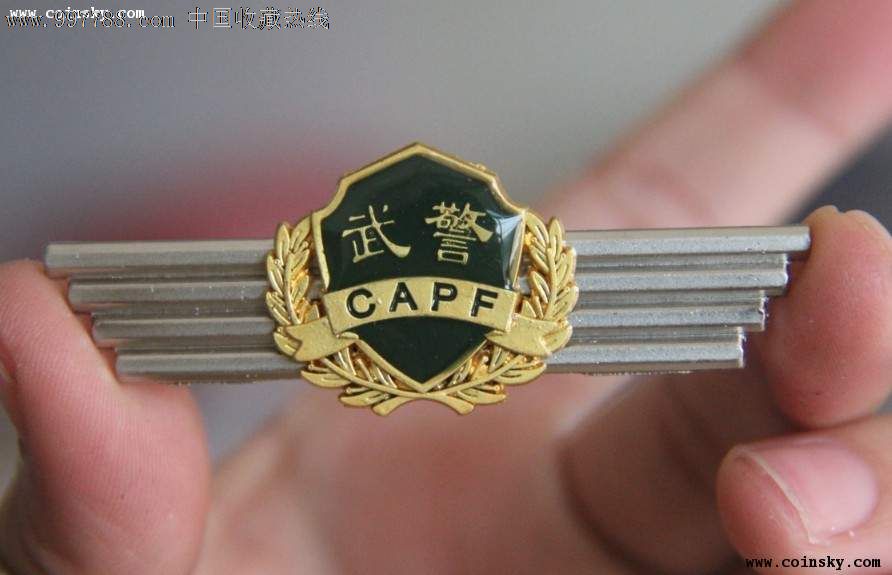 武*硬胸标