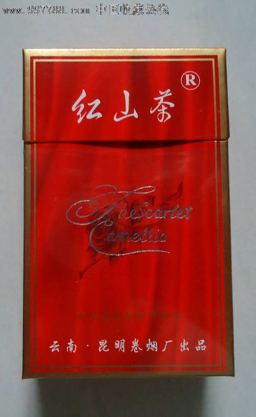 红山茶《焦中》