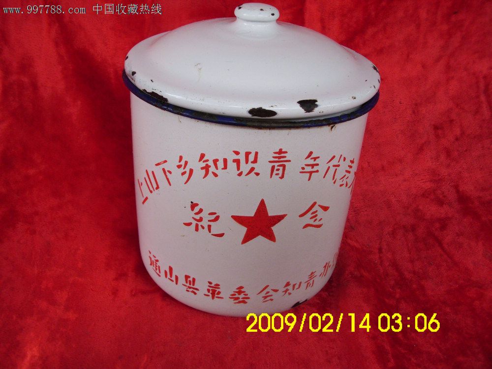 上山下乡知识青年代表大会纪念.