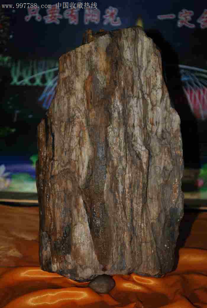 玛瑙状木化石