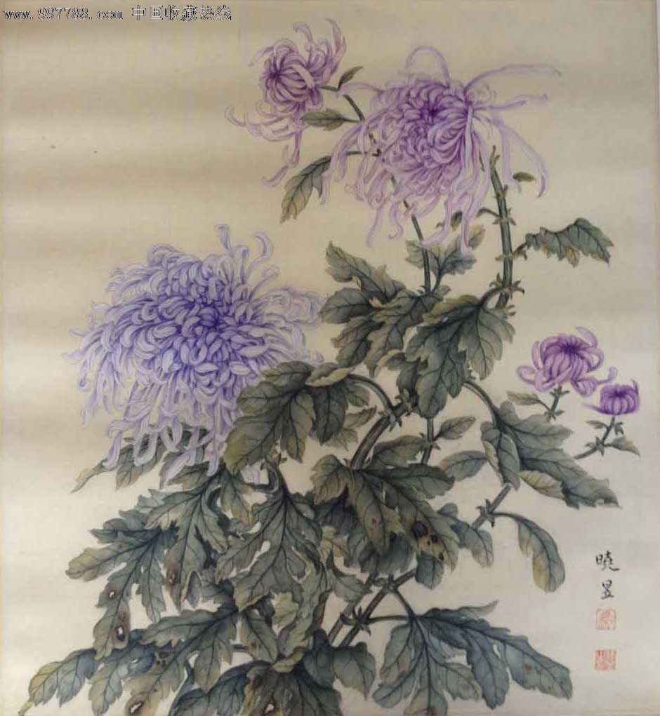 马晓昱工笔画-花卉菊花_价格10000元_第1张_7788收藏