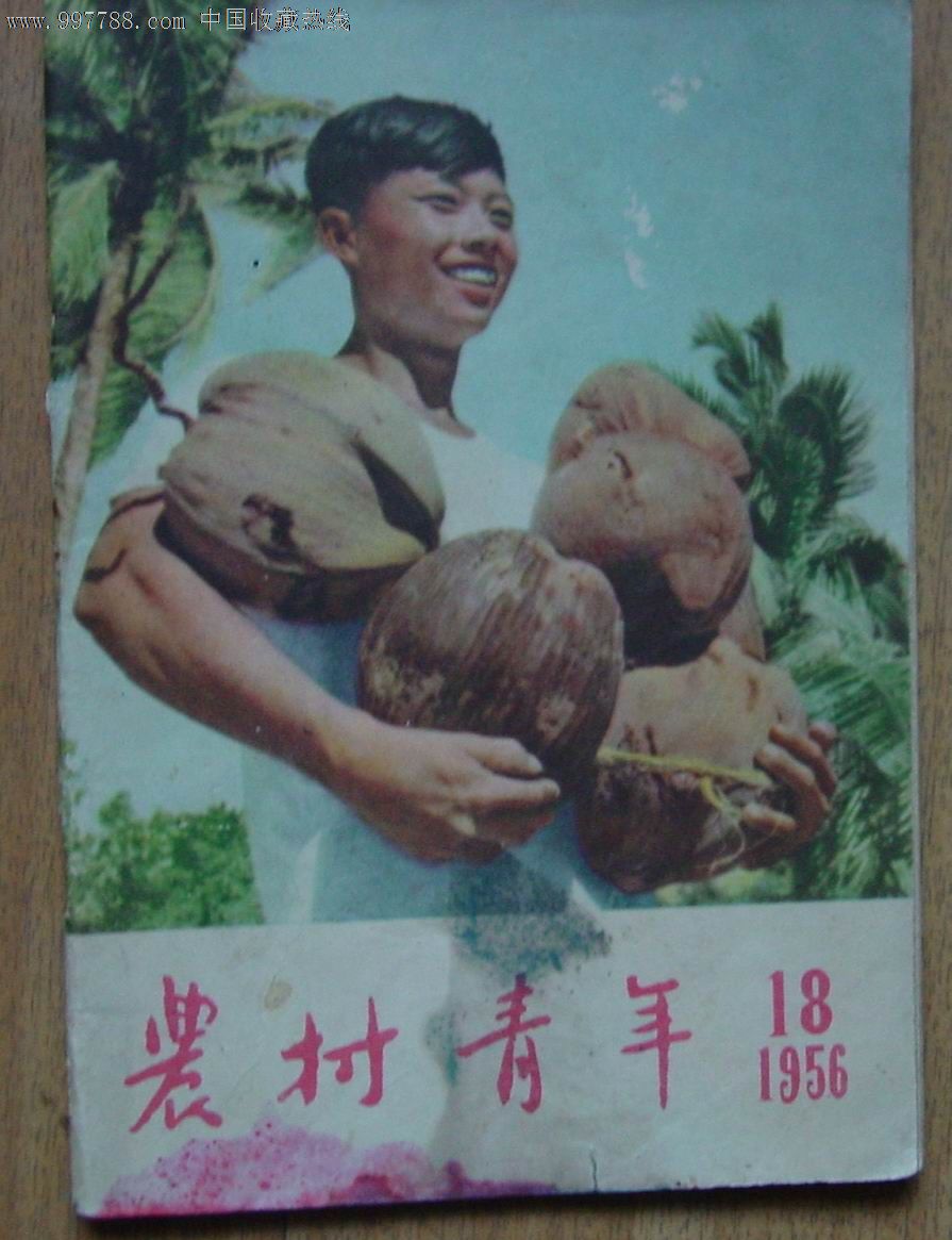 《农村青年》1956.18