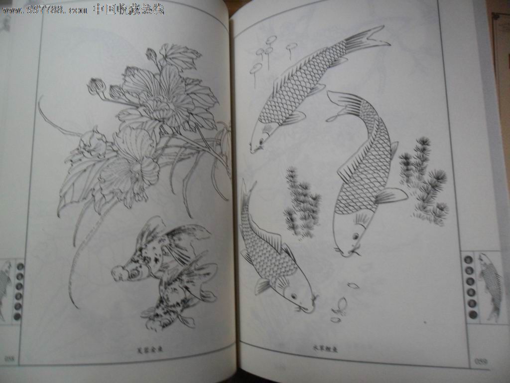 传统花鸟鱼虫图谱