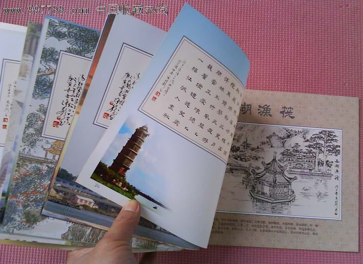 刘维声潮州八景硬笔书画集,其他文字类旧书,艺