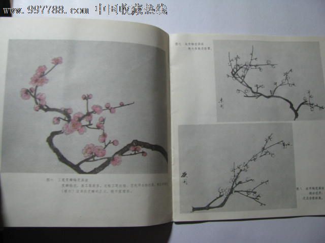 怎样画梅花